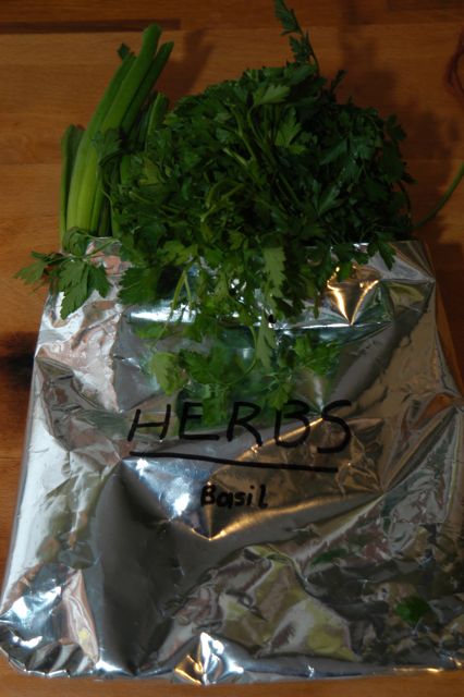 Reusing Freezer Plastic Bags (bags from frozen produce) | ecogreenlove